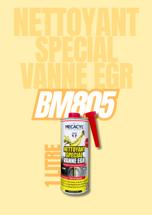 NETTOYANT VANNE EGR